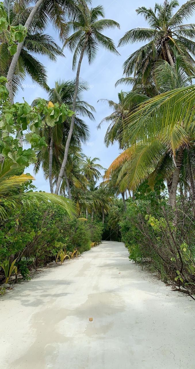 View in Maldives 🇲🇻