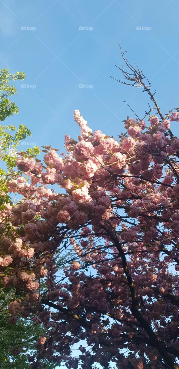 This is spring!