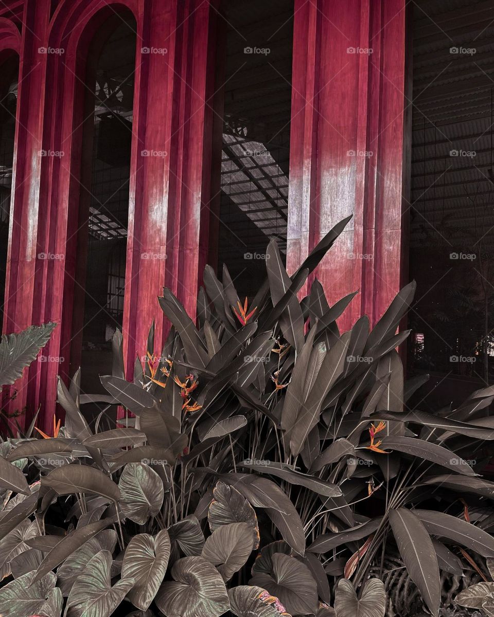 Portrait of tropical plants growing in front of large red architectural column. The columns have visible wood texture and rich colors