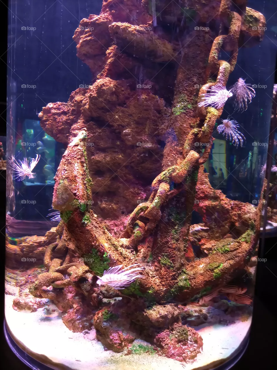 aquarium