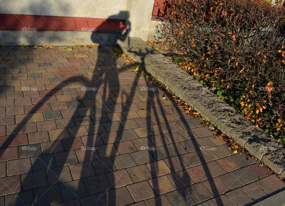 light and shadows person on a bike street view fall background