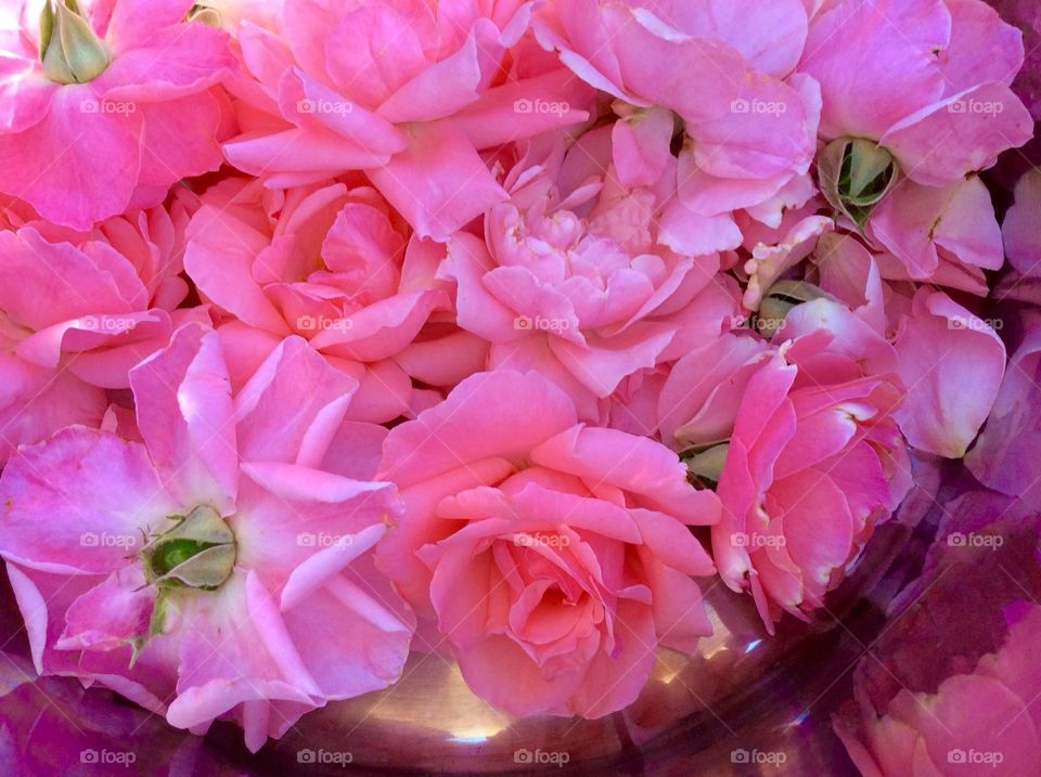 Rose petals in a bowl 