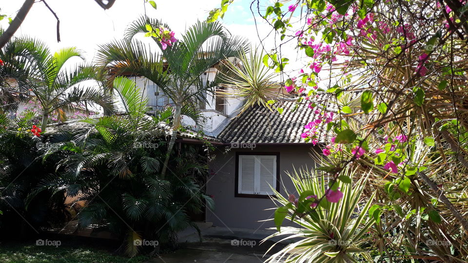 Uma linda casa com um lindo quintal cheio de lindas plantas. Um paraíso tropical em Armação dos Búzios, Rio de Janeiro, Brasil.