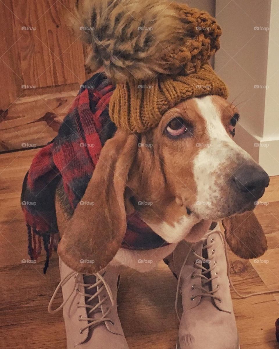 Already for winter 