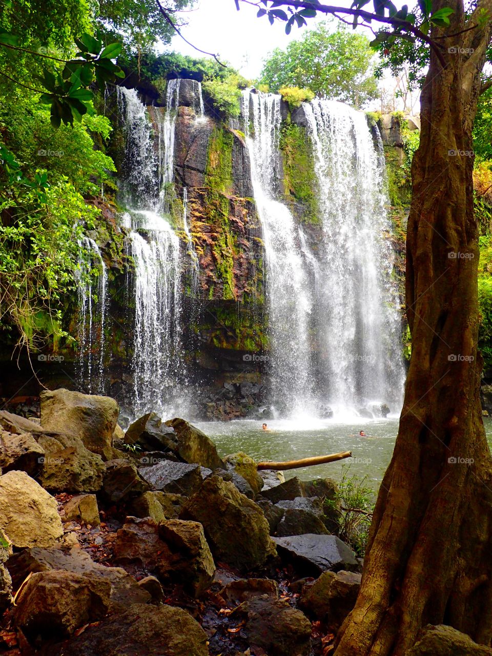 Waterfalls in the jungle