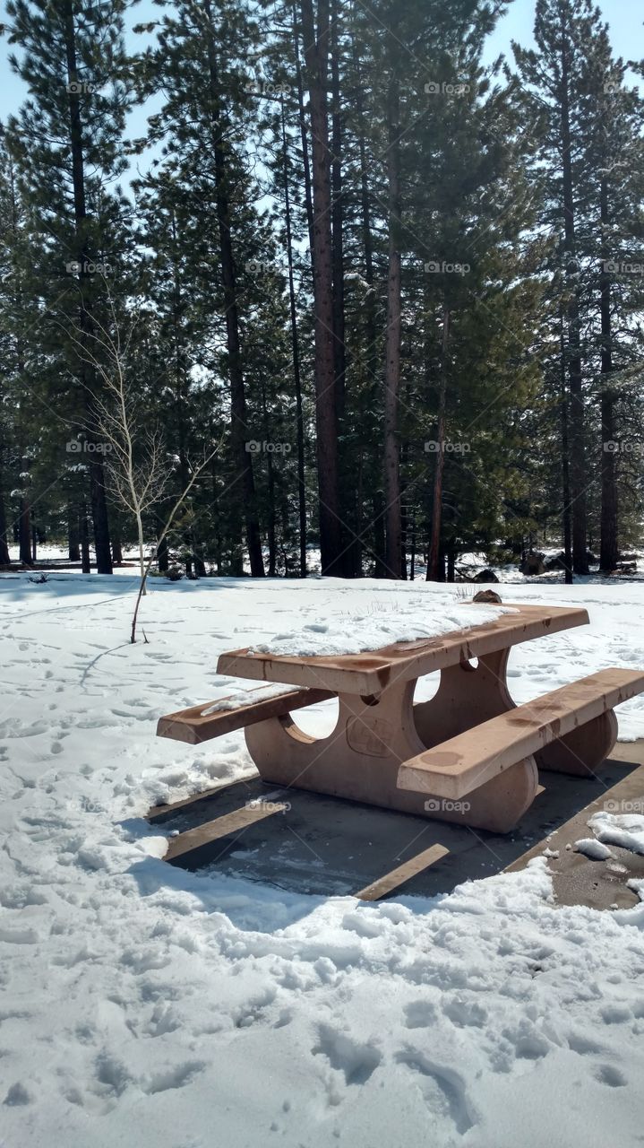 snowy picnic table