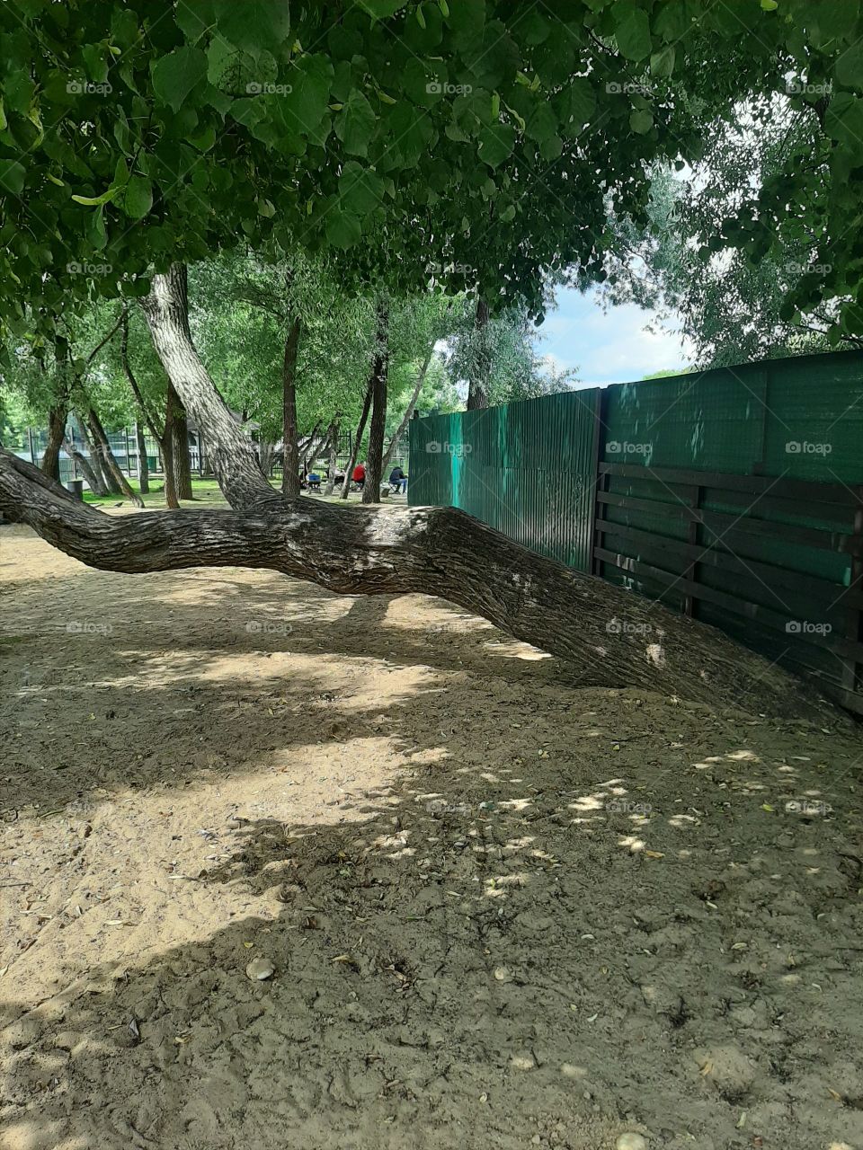 Мне  забор   и   не  мешает!