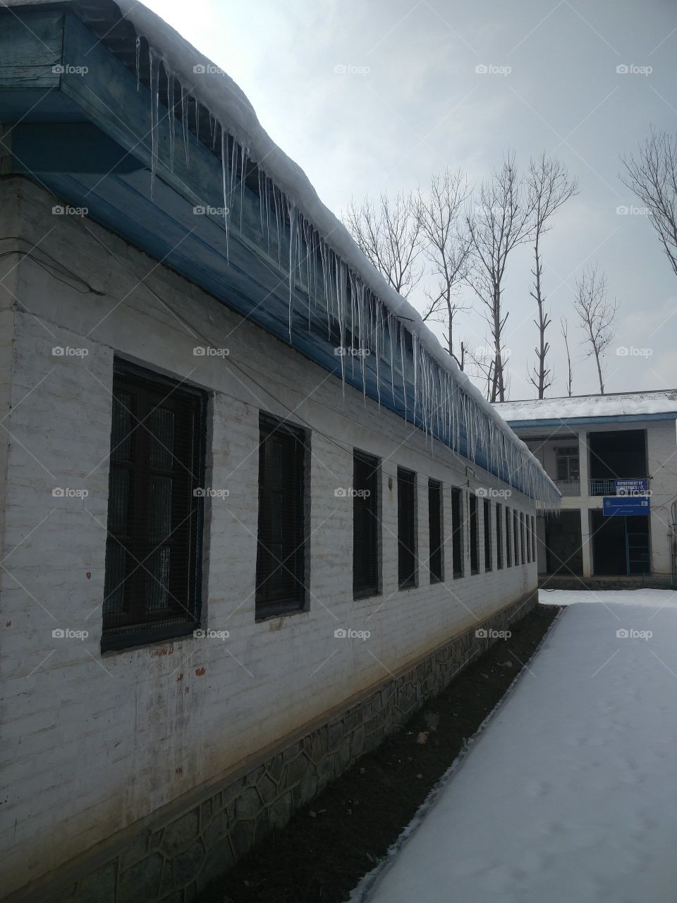 natural 🌨️ snowy freezy beautiful 
📸 Muneeb bhat