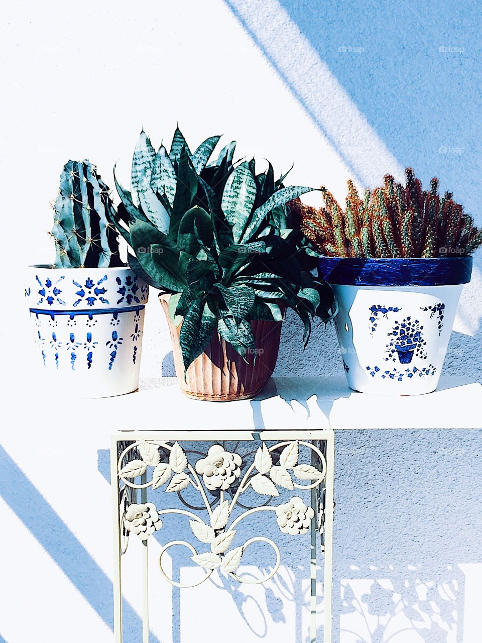 I made a painting in pots.