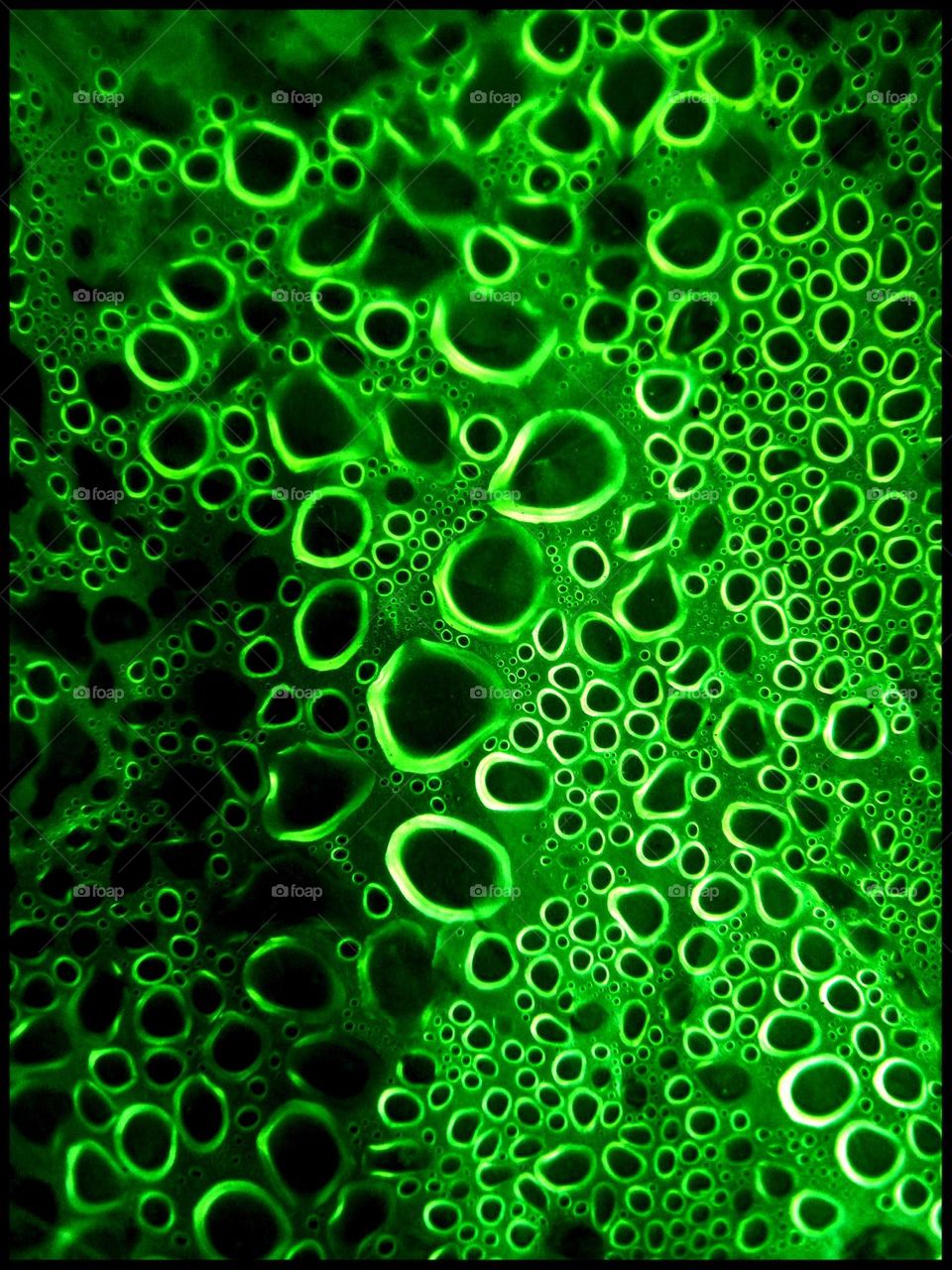 Green water bubbles close up background nature therapy amazing naturalism macro microcosmos super droplets in black background summer feeling holidays seascape wildlife beautiful life summertime full on colours wonderful view colorful eye-catching