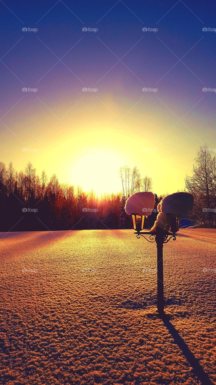 A lonley little lantern