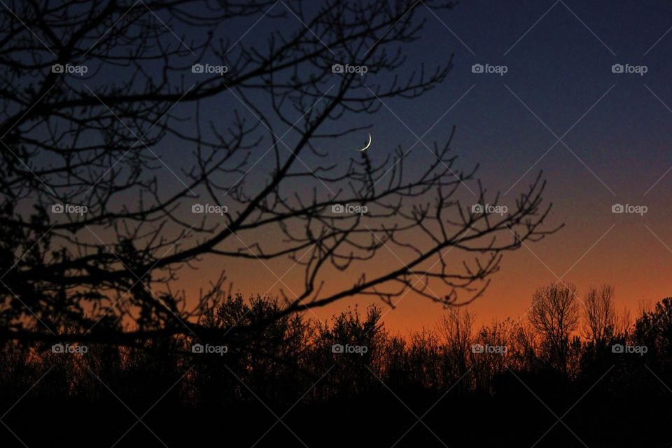 Sunset moon 