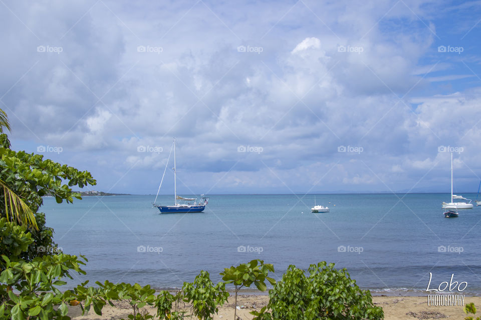 Vieques Beach
