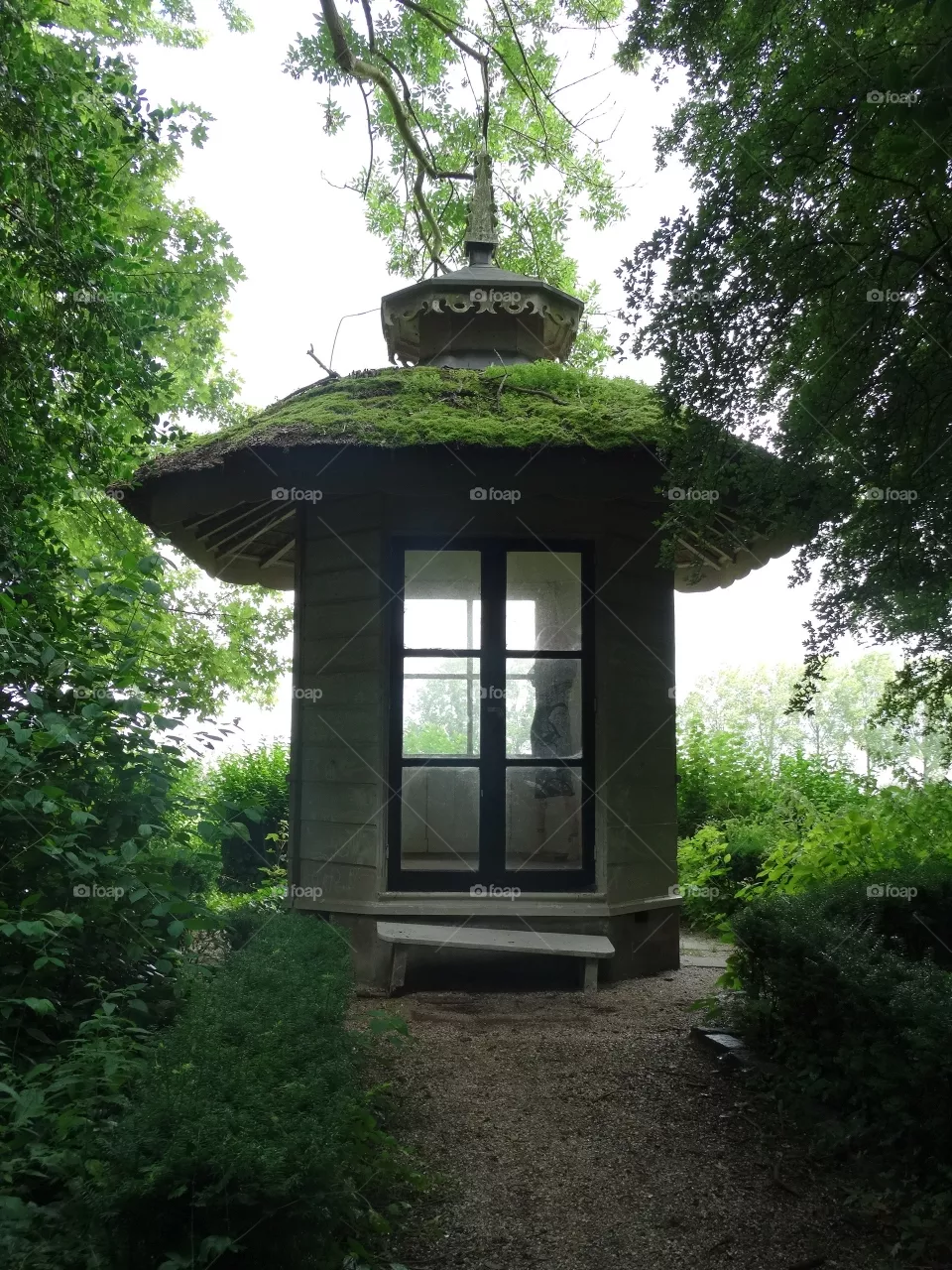 garden shed with green moss overview