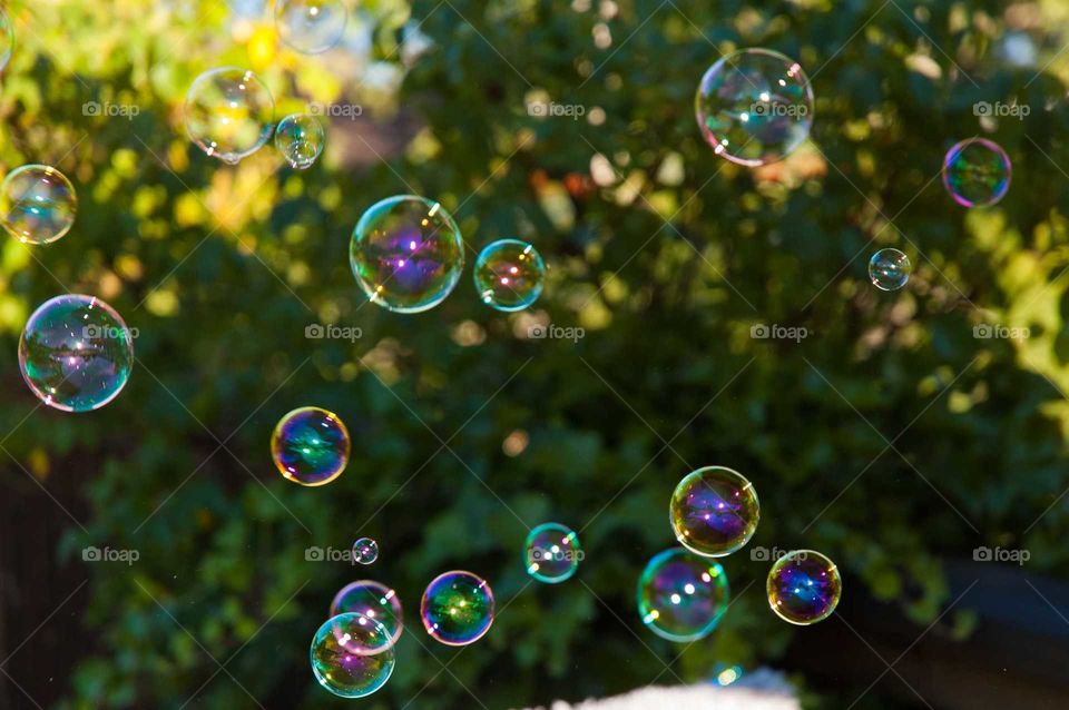Soap bubbles blowing in the wind.