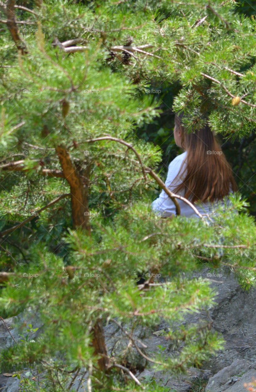 A Forest in every season! The forest's smell was fresh and organic! You could hear rustling as the wildlife scattered as the twigs were crunching under my feet. The trees were the towers of the forest. There are forests for all four seasons which display their own individual characteristics!