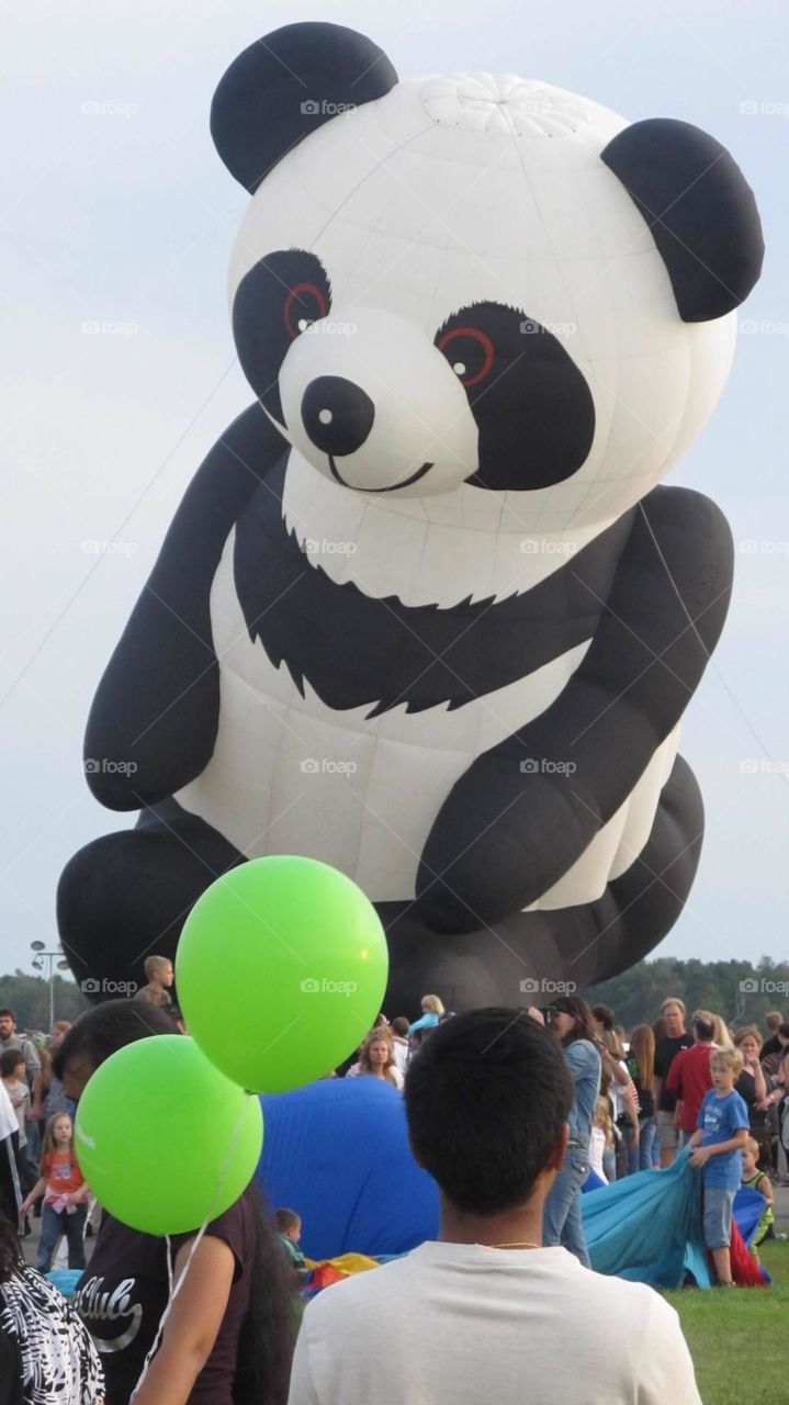 Panda Hot Air Balloon