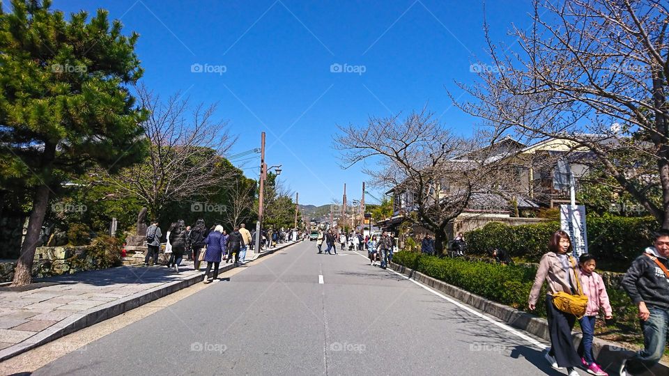 Photo in Arashiyama.