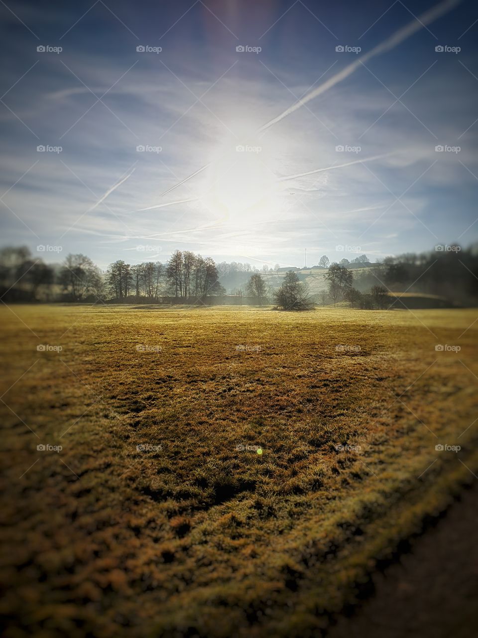 winter scene without snow