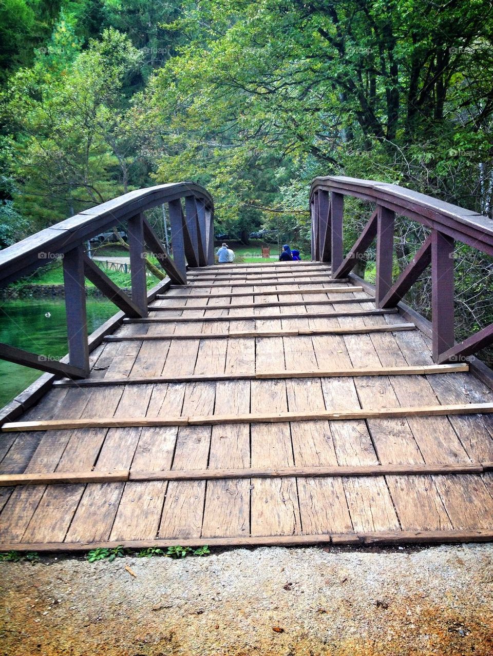 wooden bridge