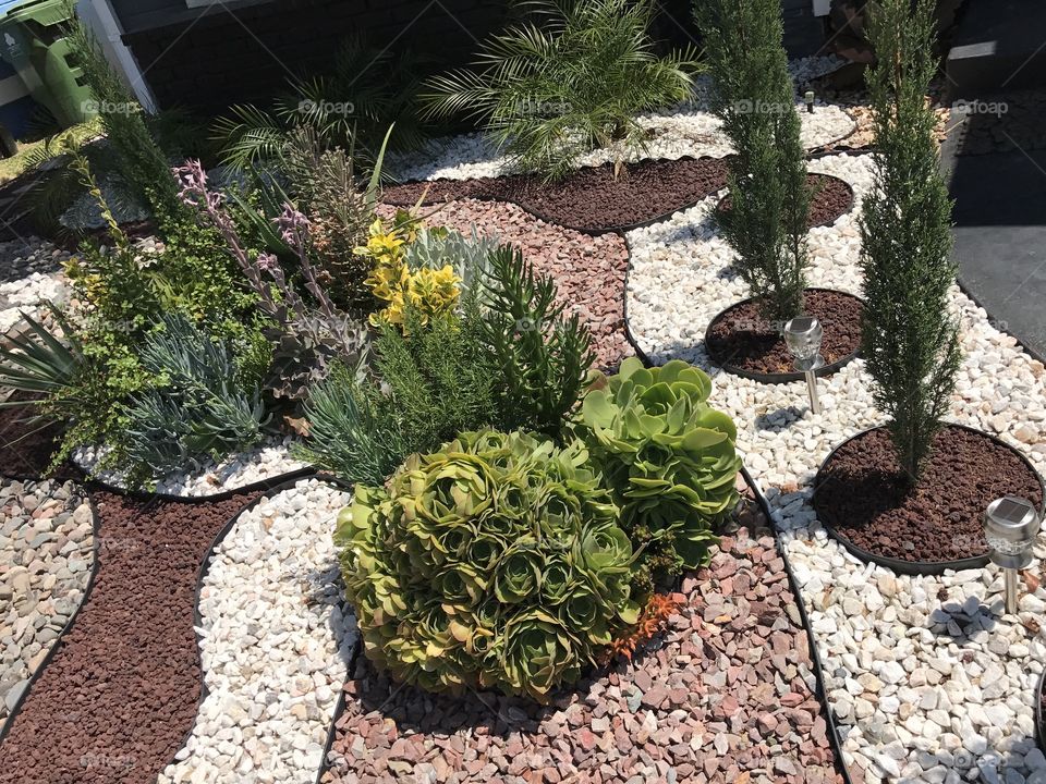 Water efficient landscaping