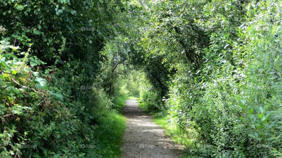 Another green arch