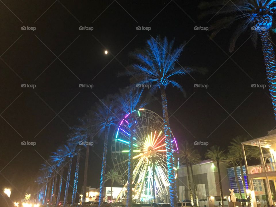 Beautiful lights and palms