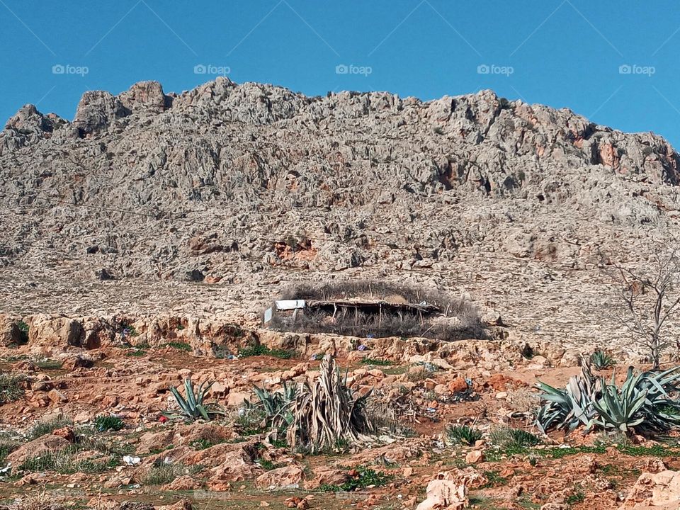 Cattle stable in the mountain