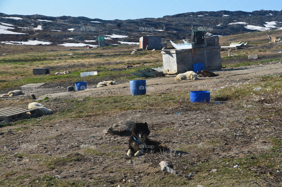 Ilulissat, Greenland