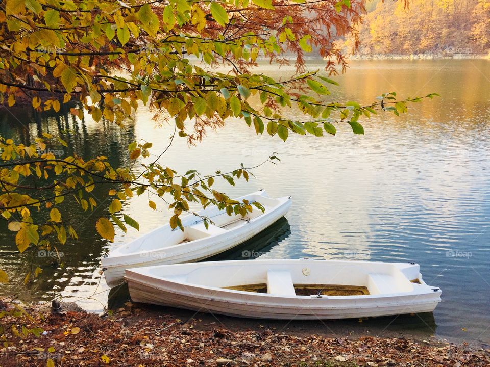 Two wooden white boats on the lake surrounded by forest of trees with yellow leaves