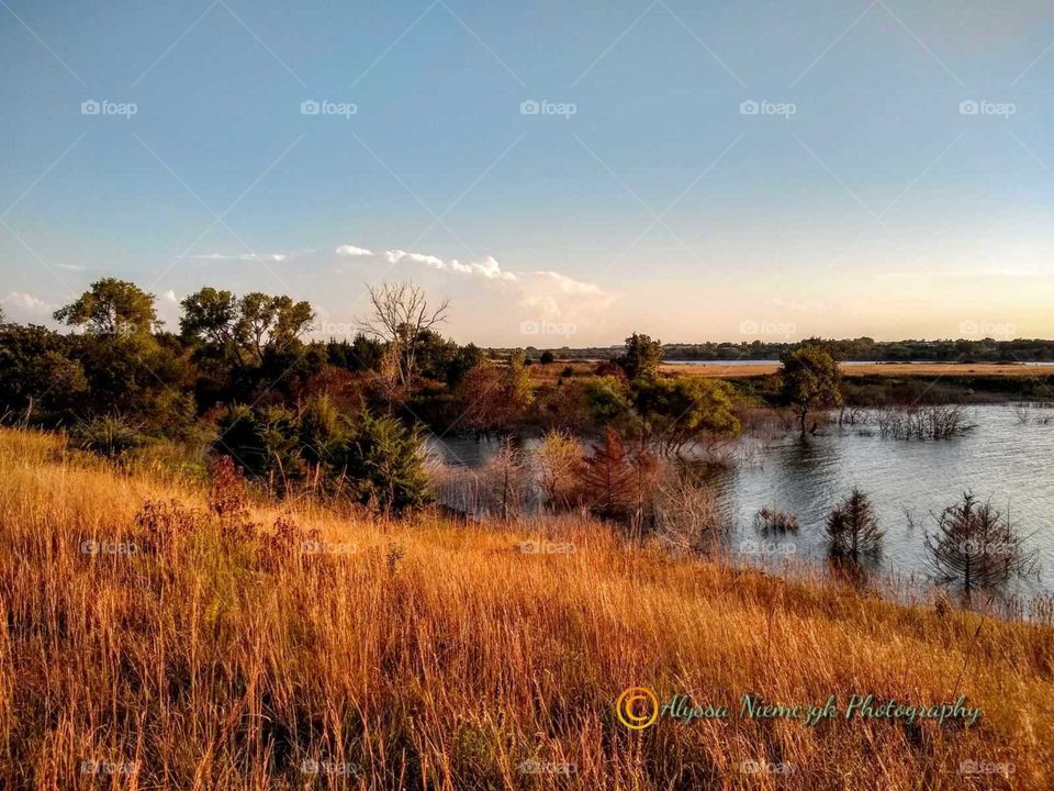 Goregous autumn colors at the lake "Colorful Submerged Trees". Lake flooded this summer.