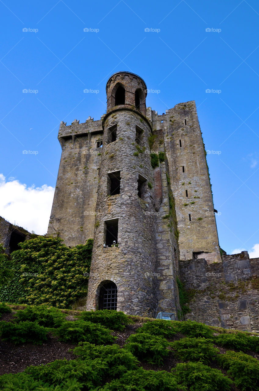 Blarney Castle
