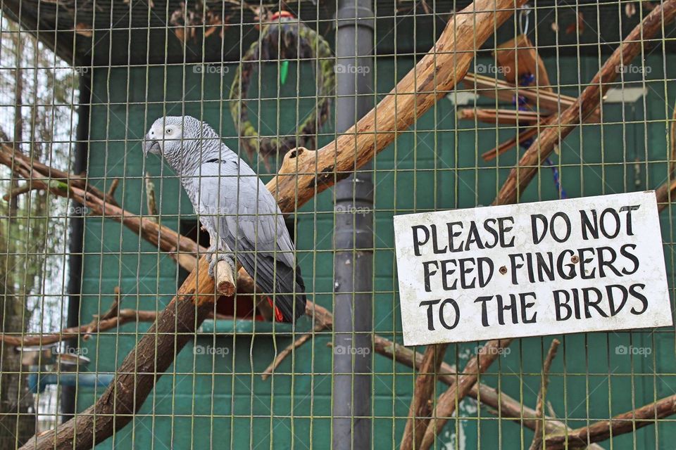 Humorous sign on bird cage