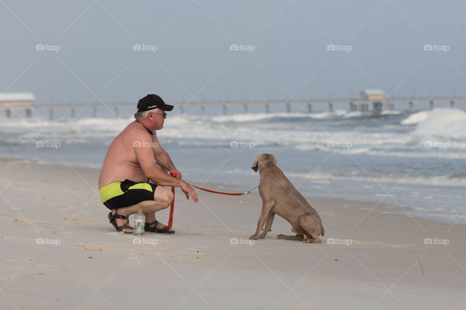 Man teaching his dog in the beach