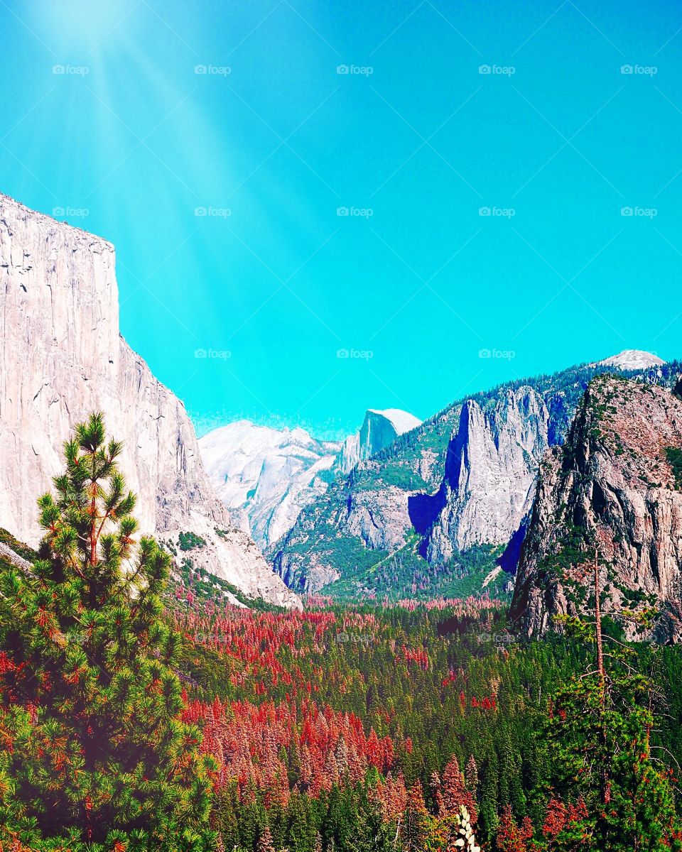 Yosemite
National Park
Tunnel view
California
Tree
Nature
Mountain