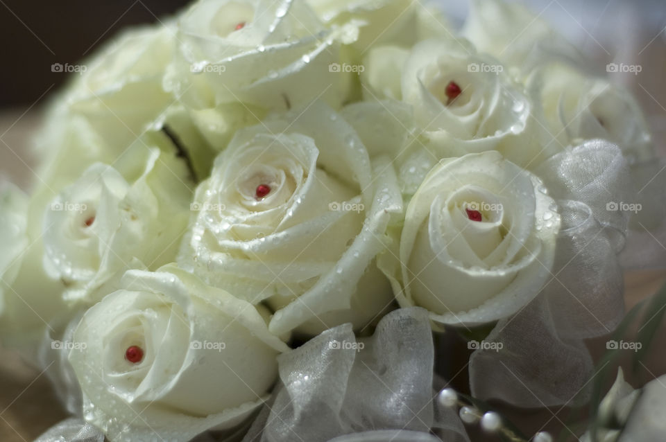 White roses