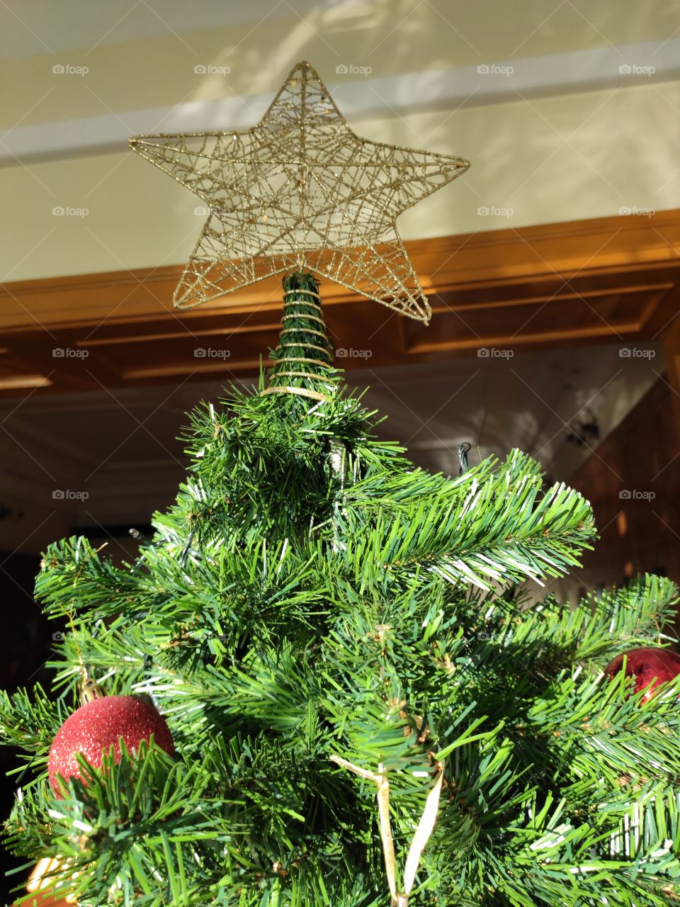 New year tree top with star