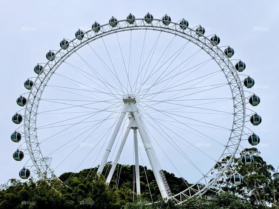 Ferris Wheel 