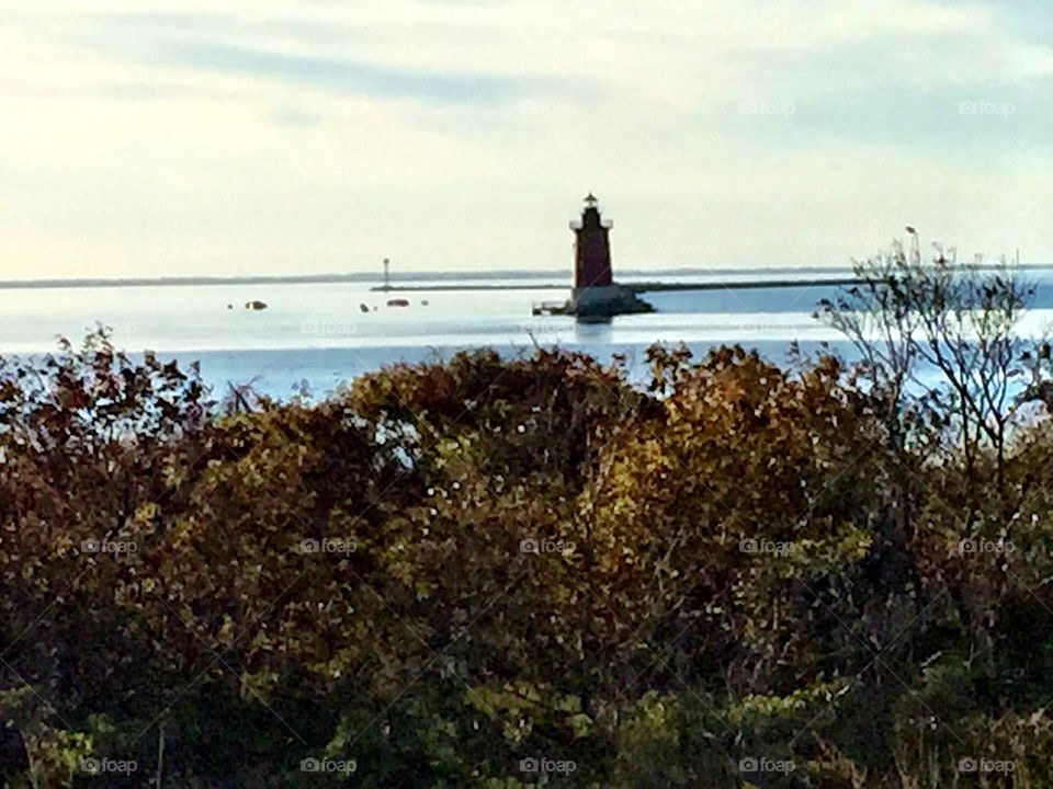 Cape Henlopen State Park
