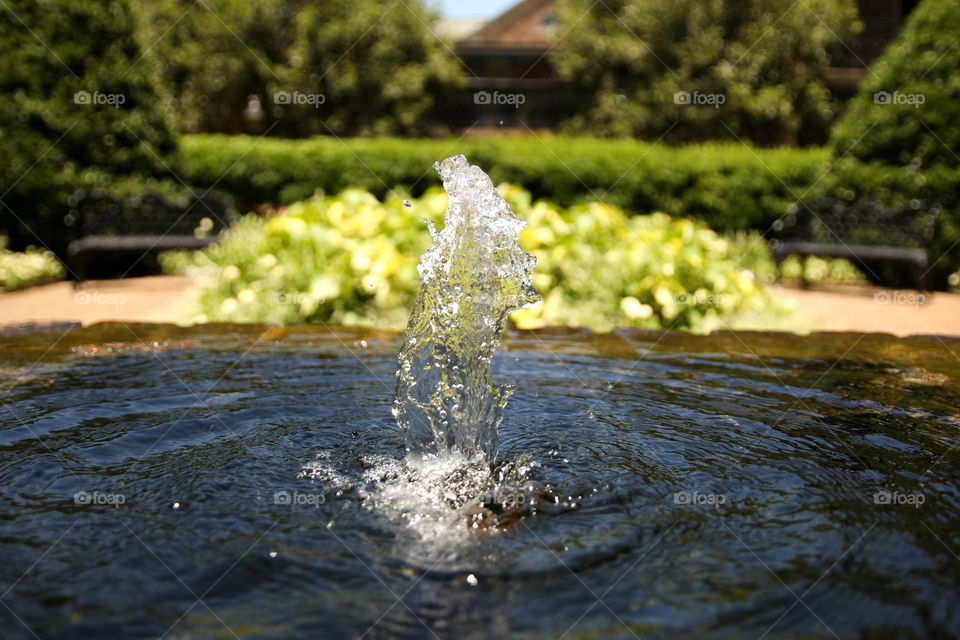 One of the many fountains located at Bellingrath Gardens and Home in Theodore, Alabama. 