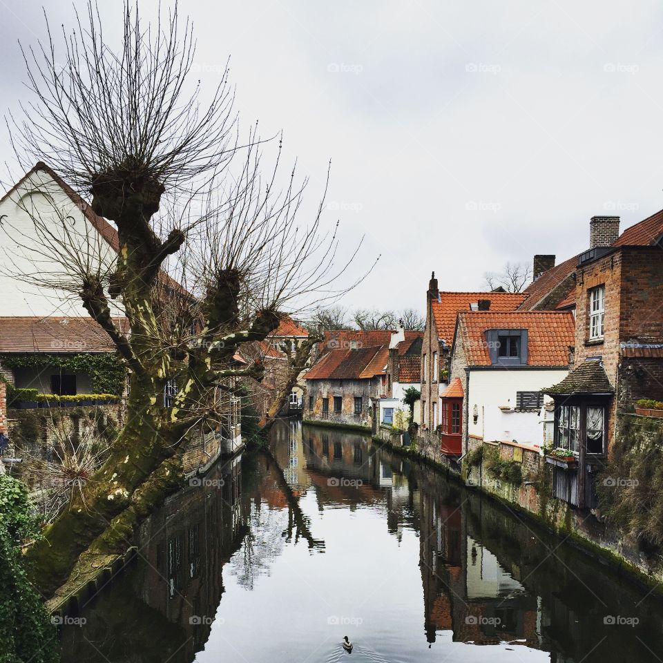 Beautiful Bruges 