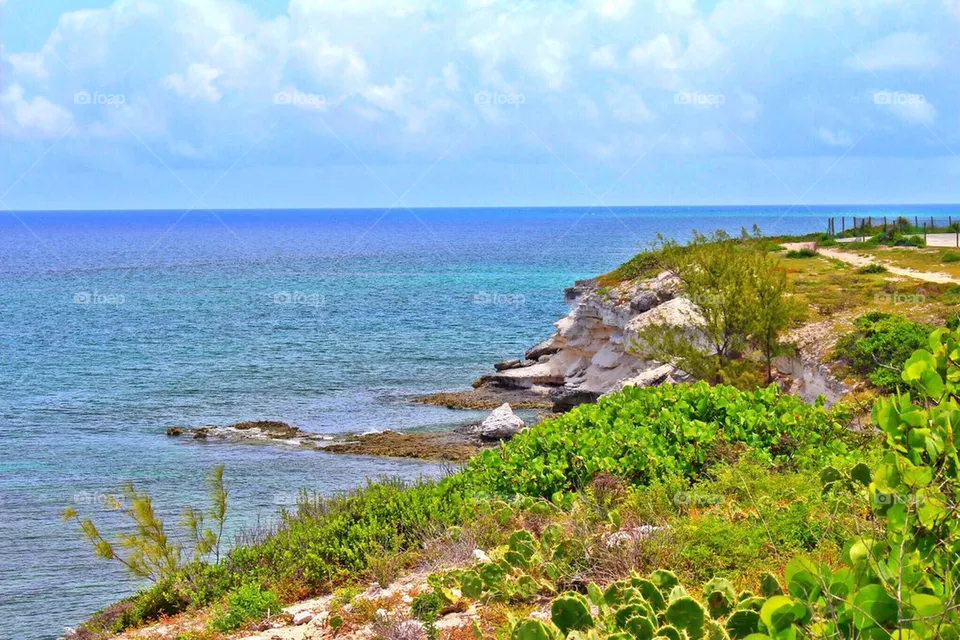 Coastline 