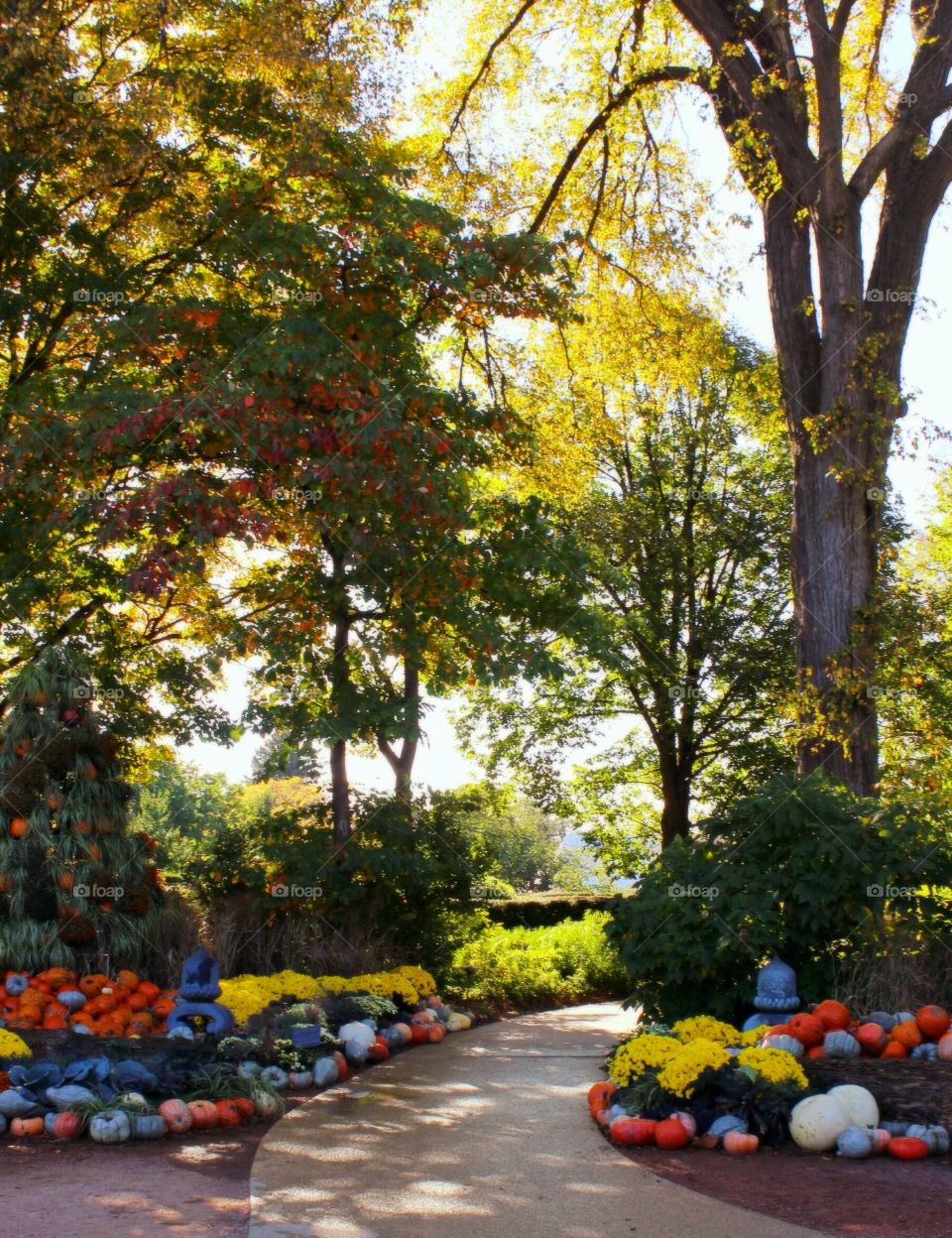 Entrance to beautiful scenery of shrubbery