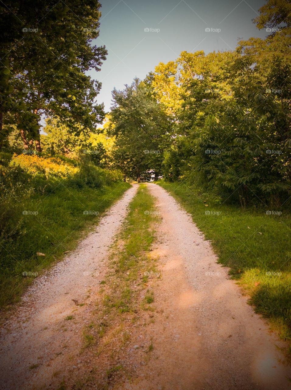 Lake path. Summer 2015