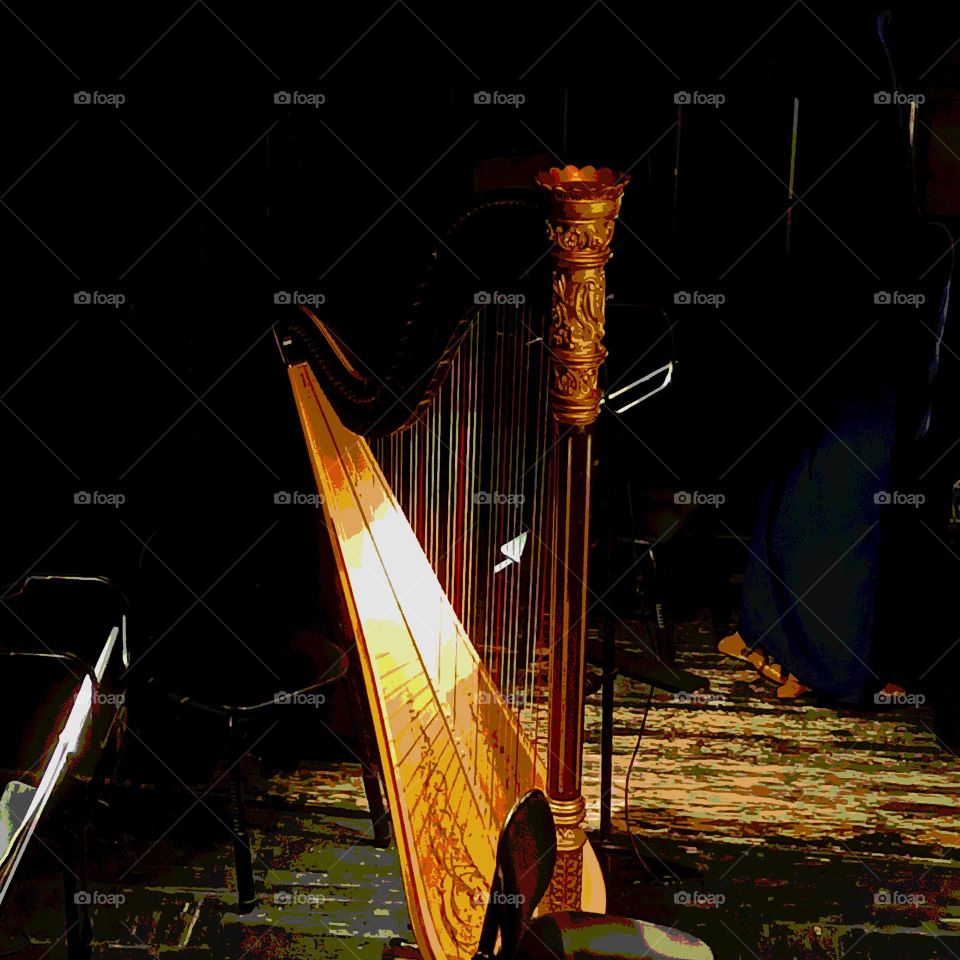 Latvian National Opera. Harp