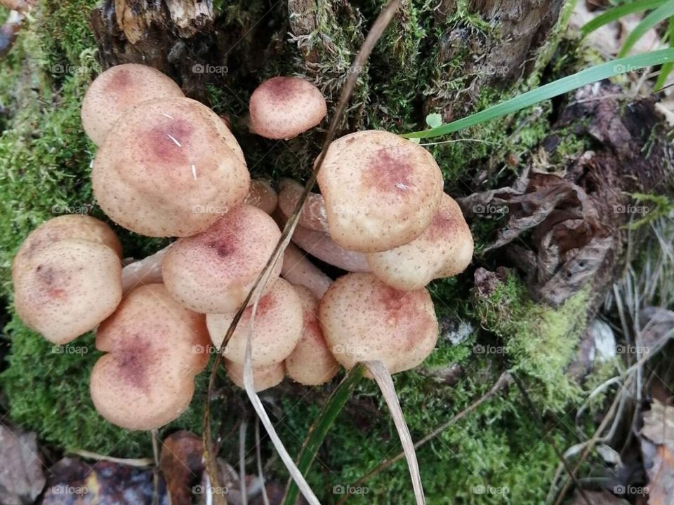 Природа Сибири