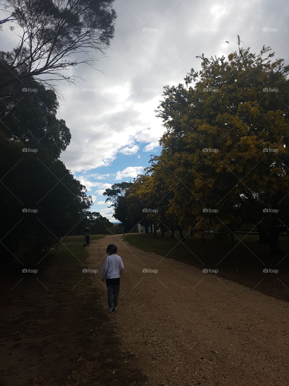 Skies above the laneway