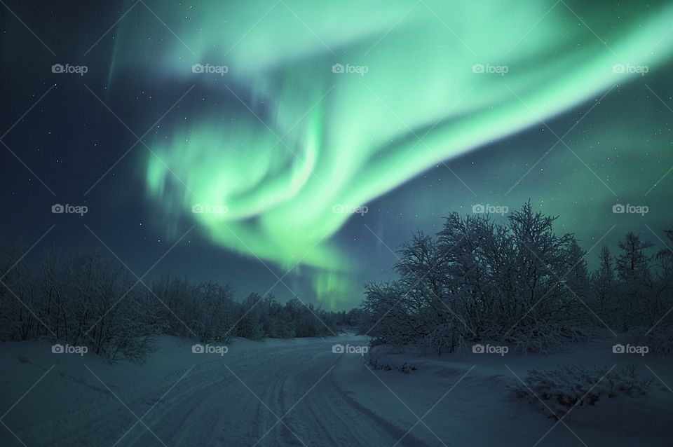 We saw the most spectacular aurora borealis I'd ever seen