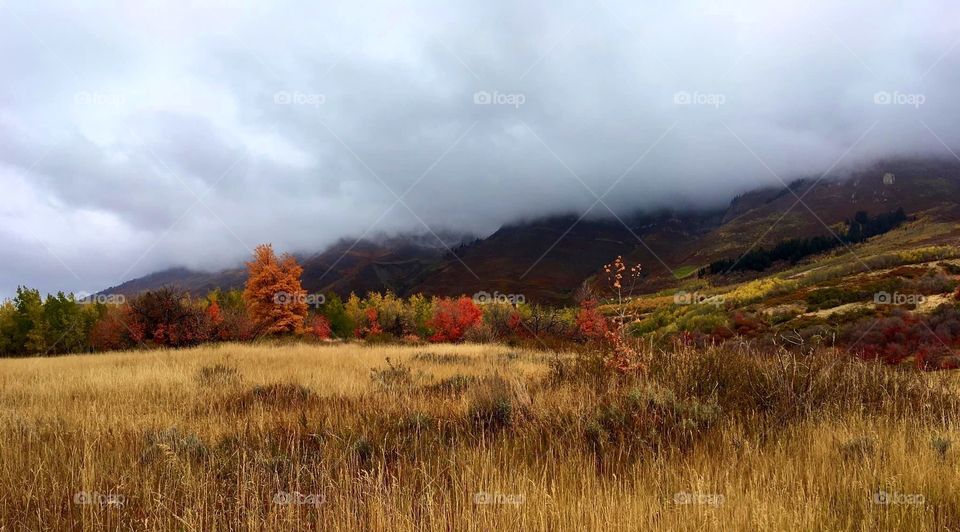Colorful fall in Utah mountains! 