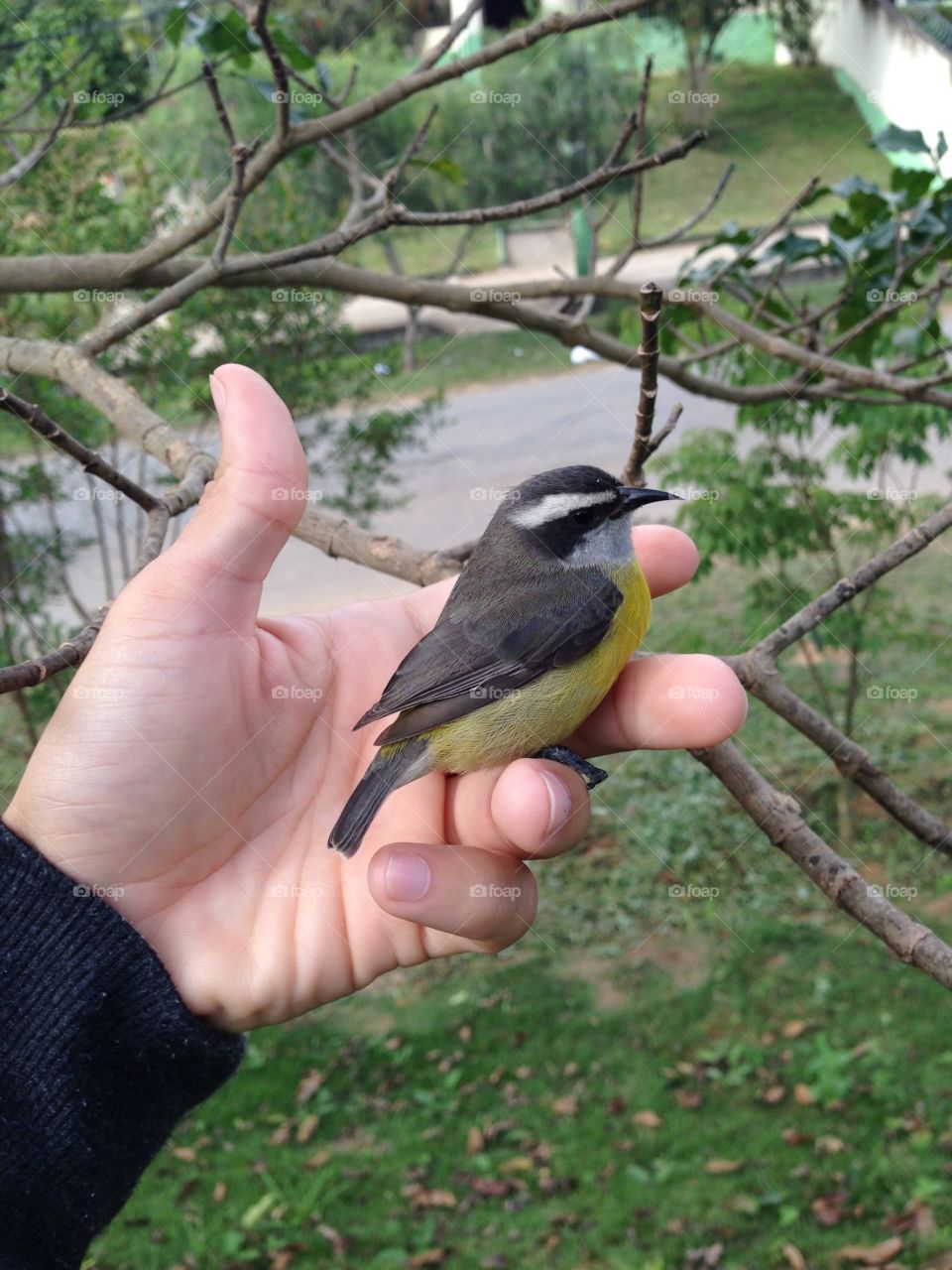 Wild life being good with the human